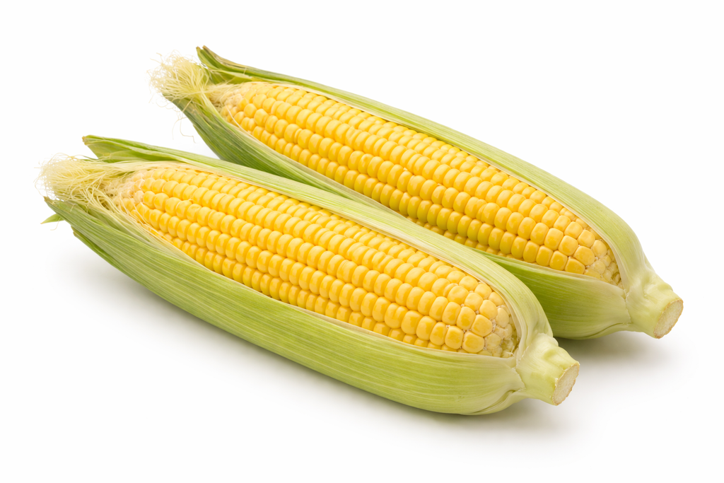 Yellow corn (2 count)