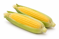 Yellow corn (2 count)