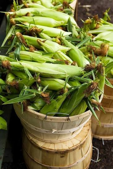 Yellow corn (2 count)