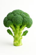 Broccoli crown (1 count)